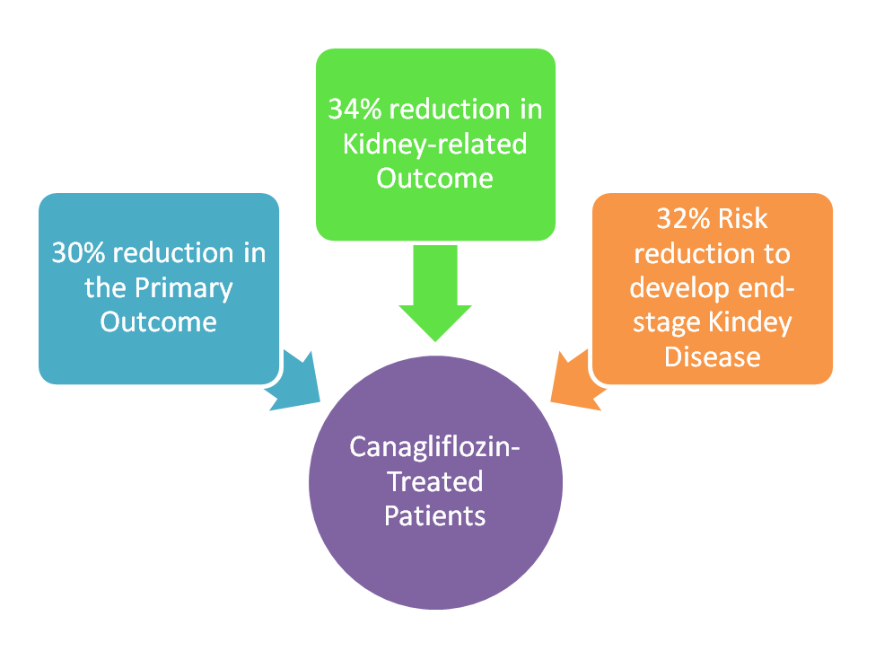 SGLT2 Inhibitors, Indications, MOA, Use in CKD and CVD 15 canagliflozin in diabetic kidney disease