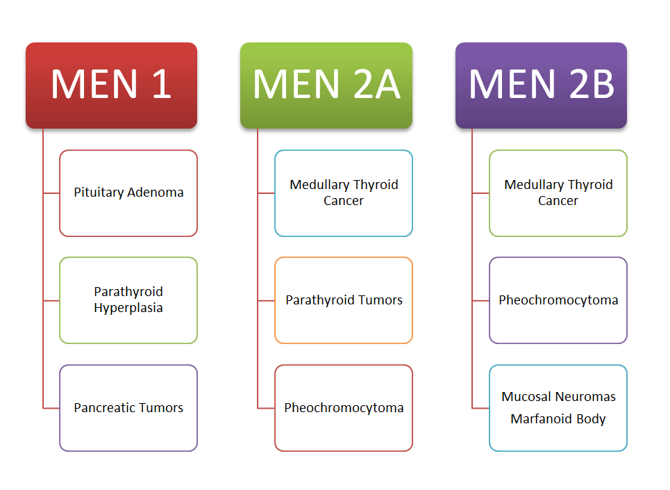 Semaglutide Side Effects (Rybelsus, Ozempic, and Wegovy) 13 semaglutide side effects men syndromes