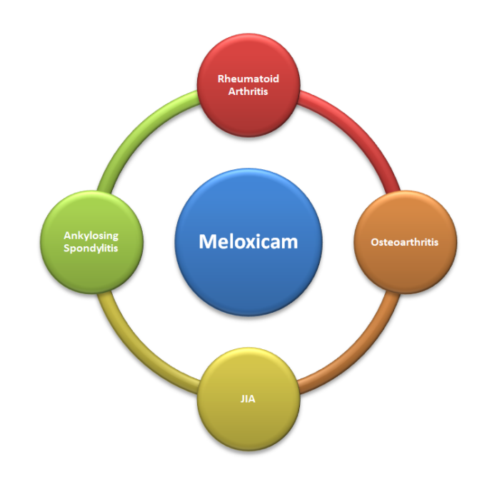 meloxicam uses and indications