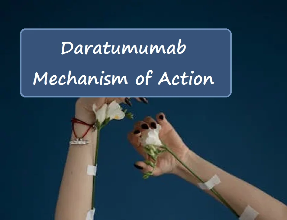 Daratumumab Mechanism of Action: Darzalex MOA - edrugz